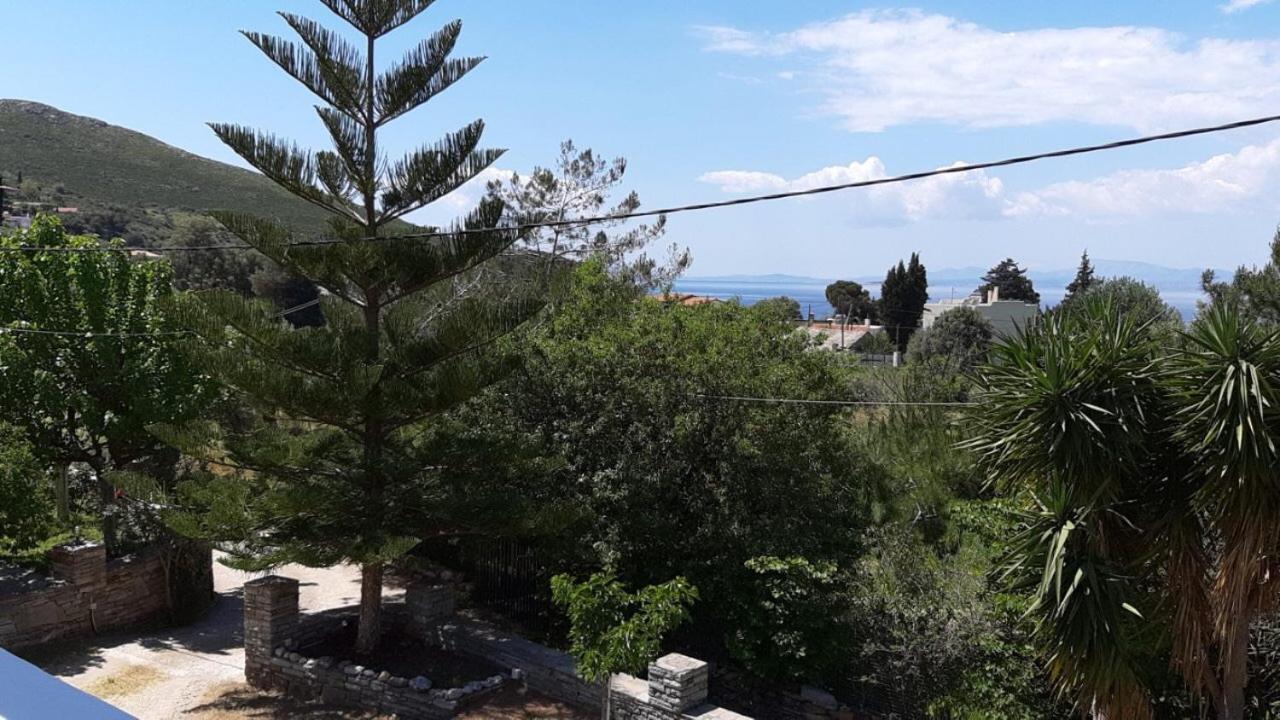 Apartment Asteria
